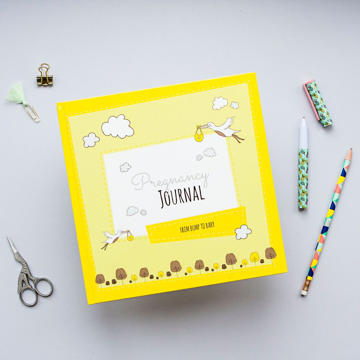 Bump Box Subscription: The Perfect Gift For Baby Showers And Pregnancy