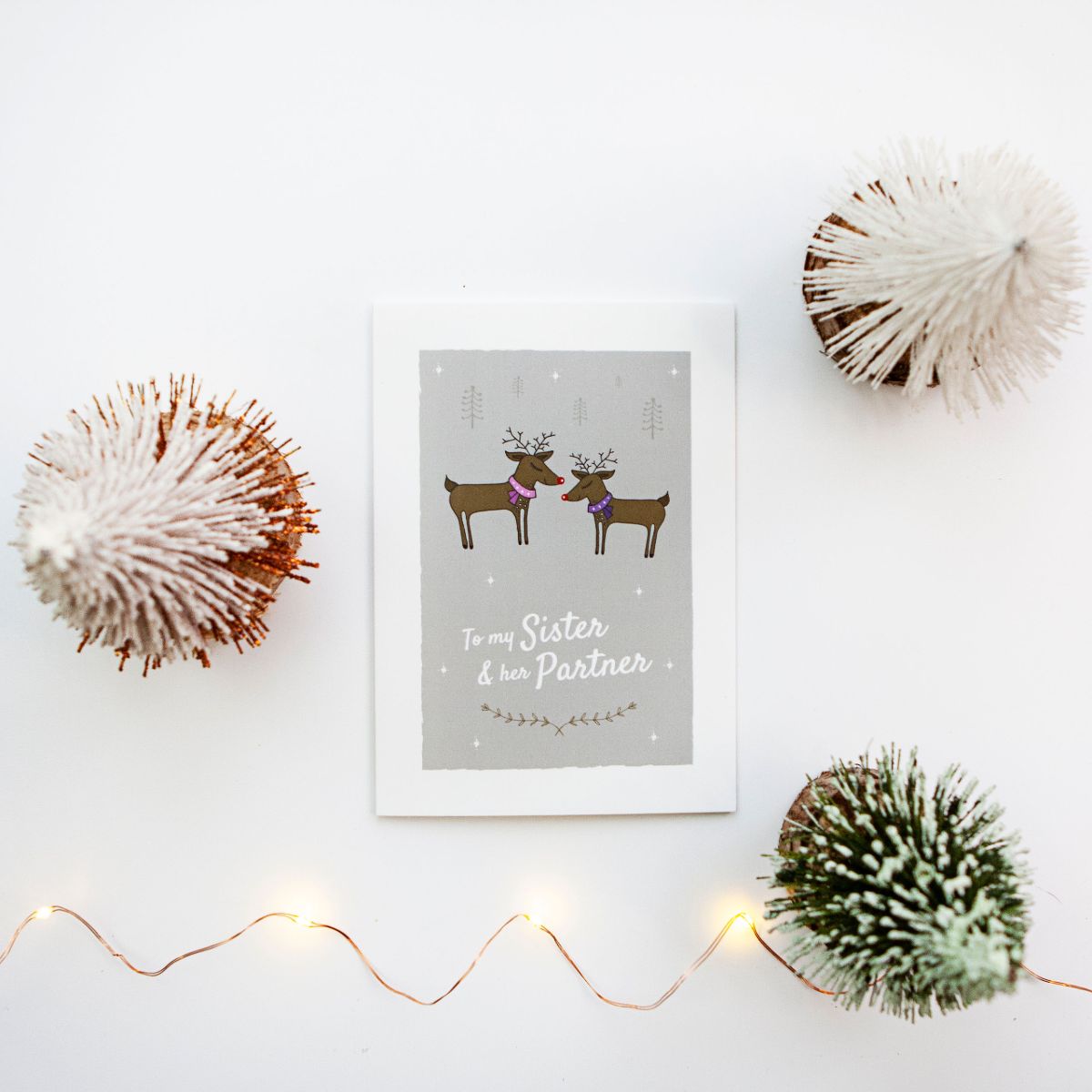 To my Lesbian Sister and her Partner Christmas Day Card Reindeer